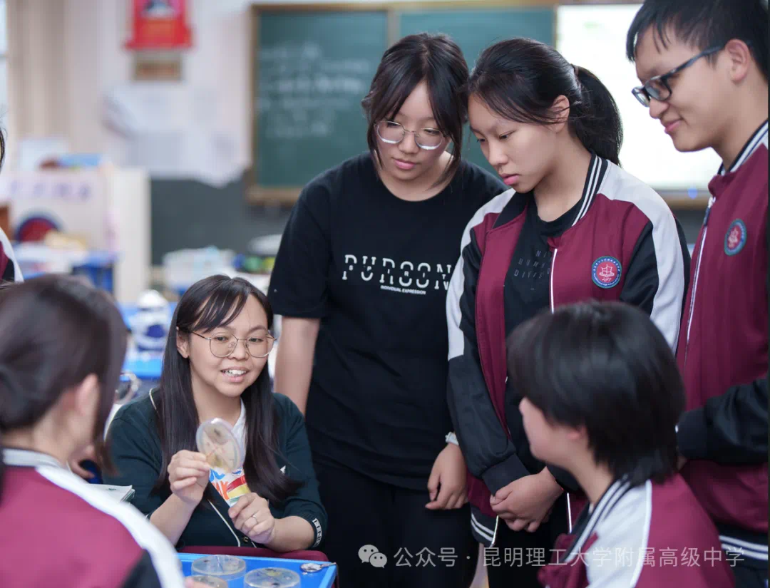 image7.webp
