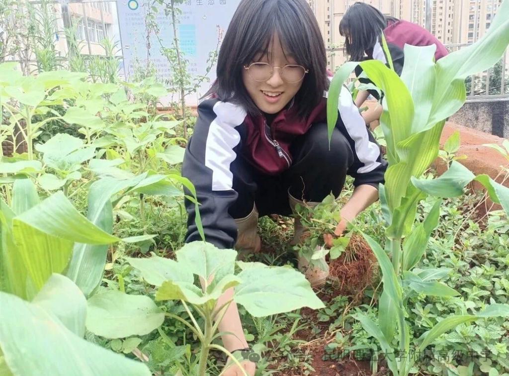 image3.webp